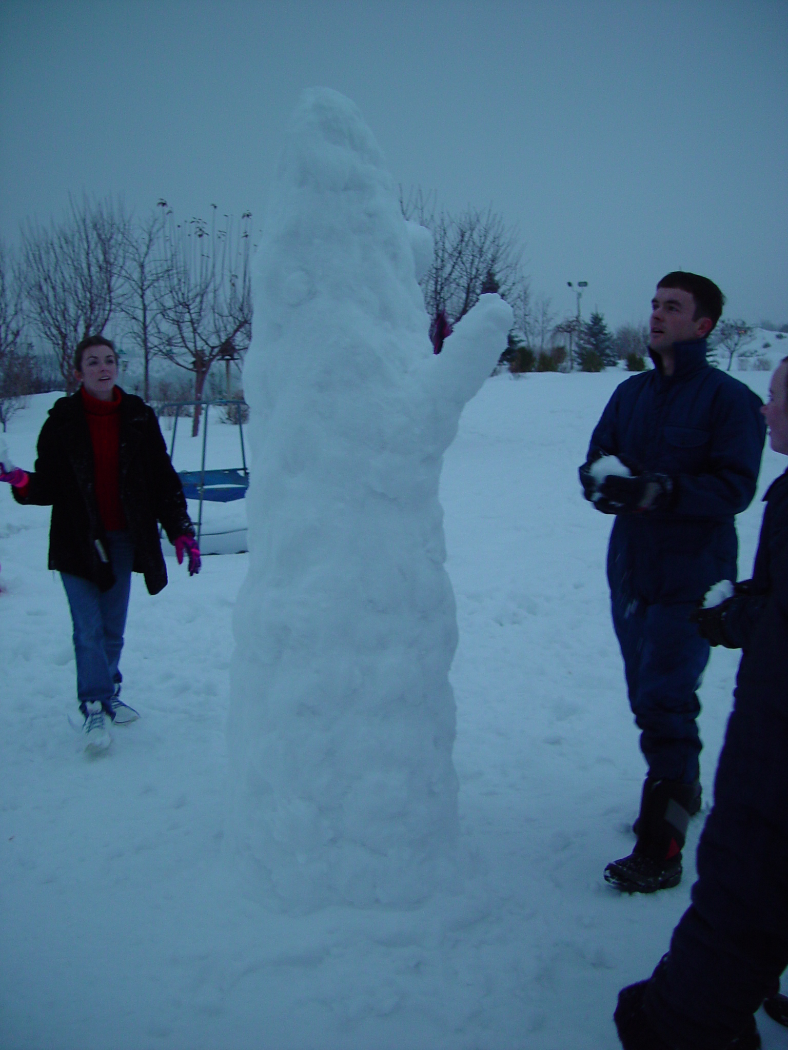 Snow Cactus