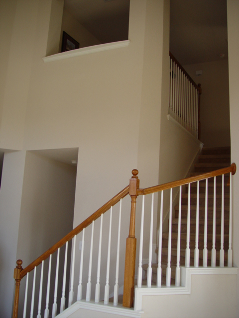 House Hunting Trip (Other Houses)