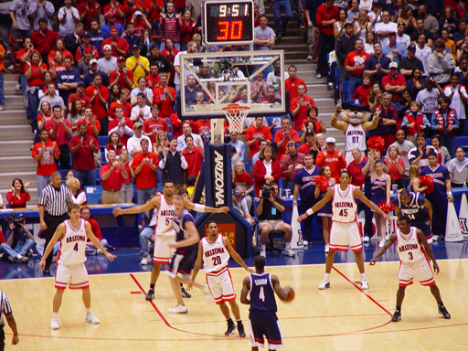 Arizona Wildcat Basketball 2001-02