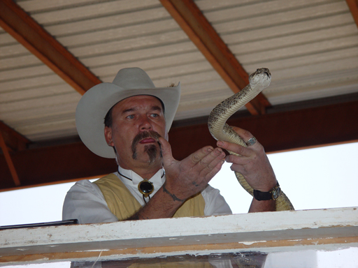 2002 National Rattlesnake Sacking Championship (Taylor, Texas)