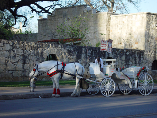 The Ballam's Come To Visit Austin, Texas