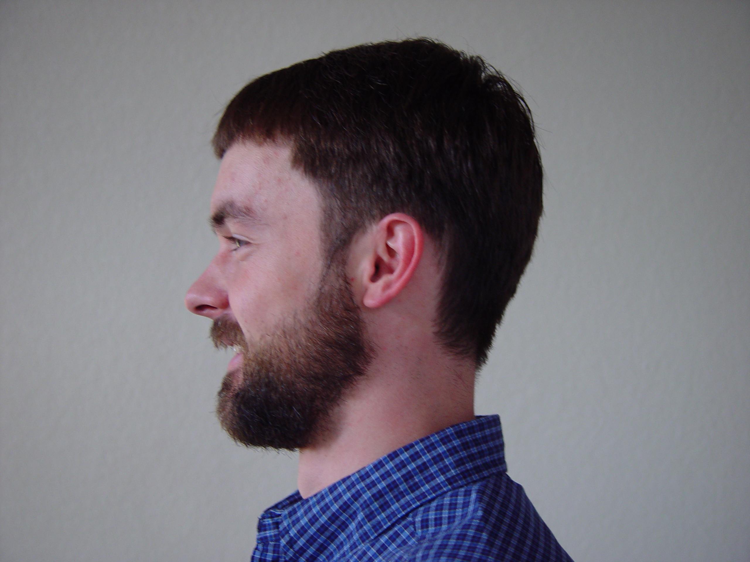Return Of The Bearded Man