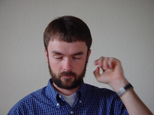 Return Of The Bearded Man