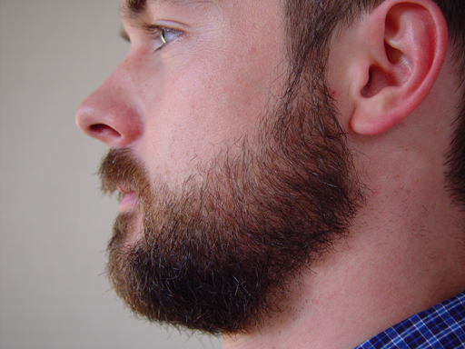 Return Of The Bearded Man