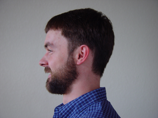 Return Of The Bearded Man