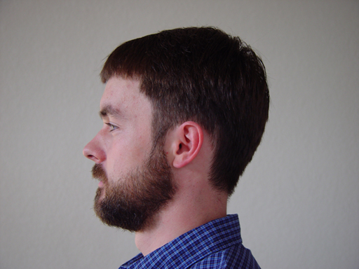 Return Of The Bearded Man