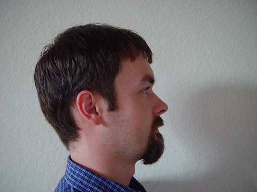Return Of The Bearded Man