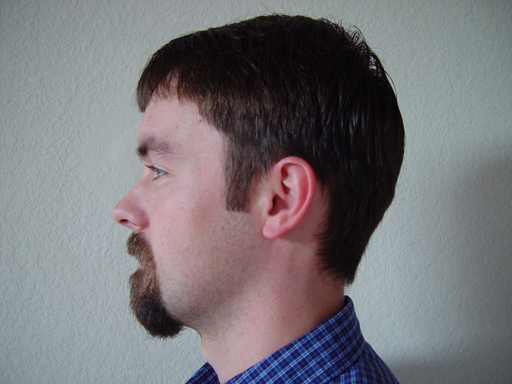 Return Of The Bearded Man