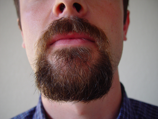 Return Of The Bearded Man