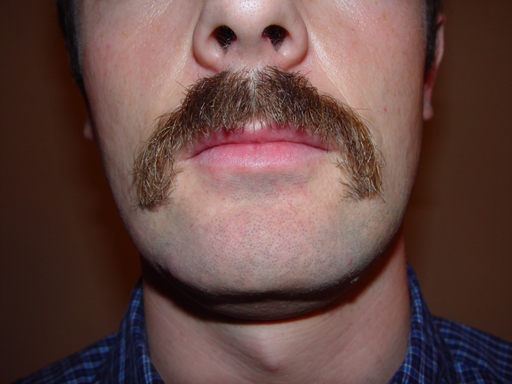 Return Of The Bearded Man