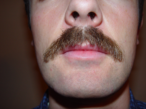 Return Of The Bearded Man