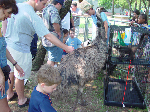 Backyard Creatures & Neighborhood Park Petting Zoo