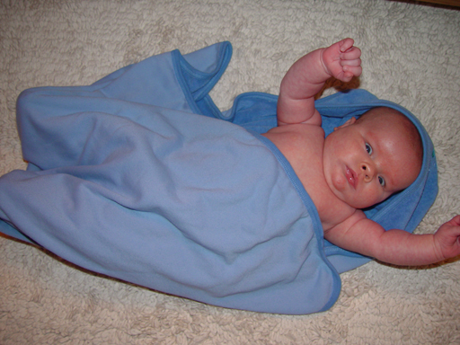 Zack (1 Month Old)