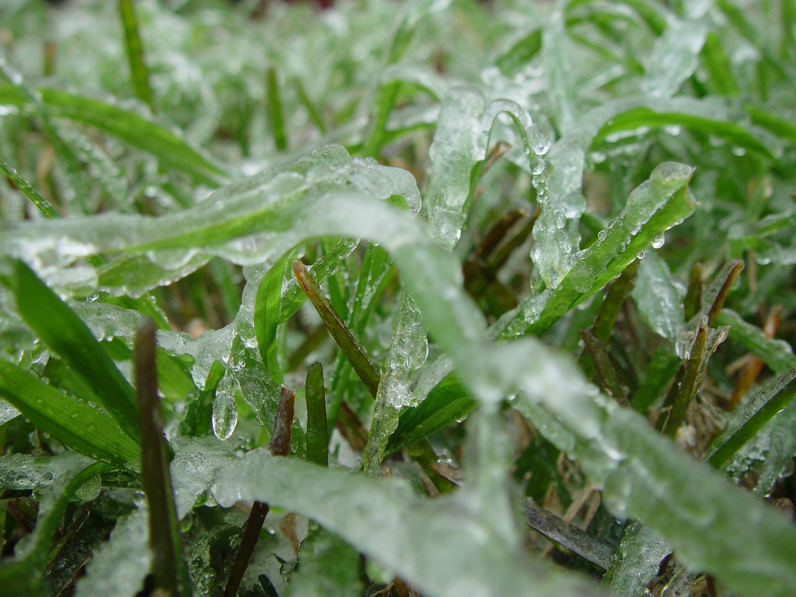 Austin Ice Storm