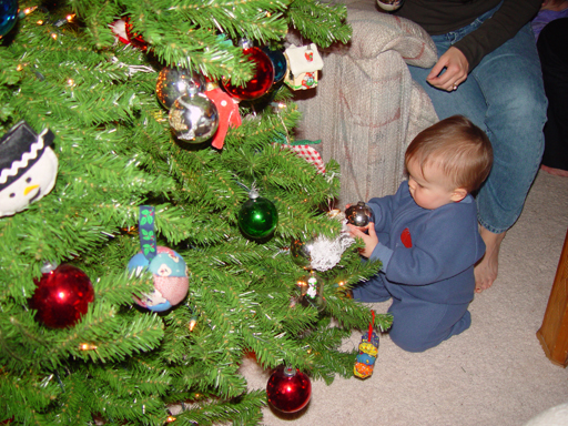 Christmas Tree Photos