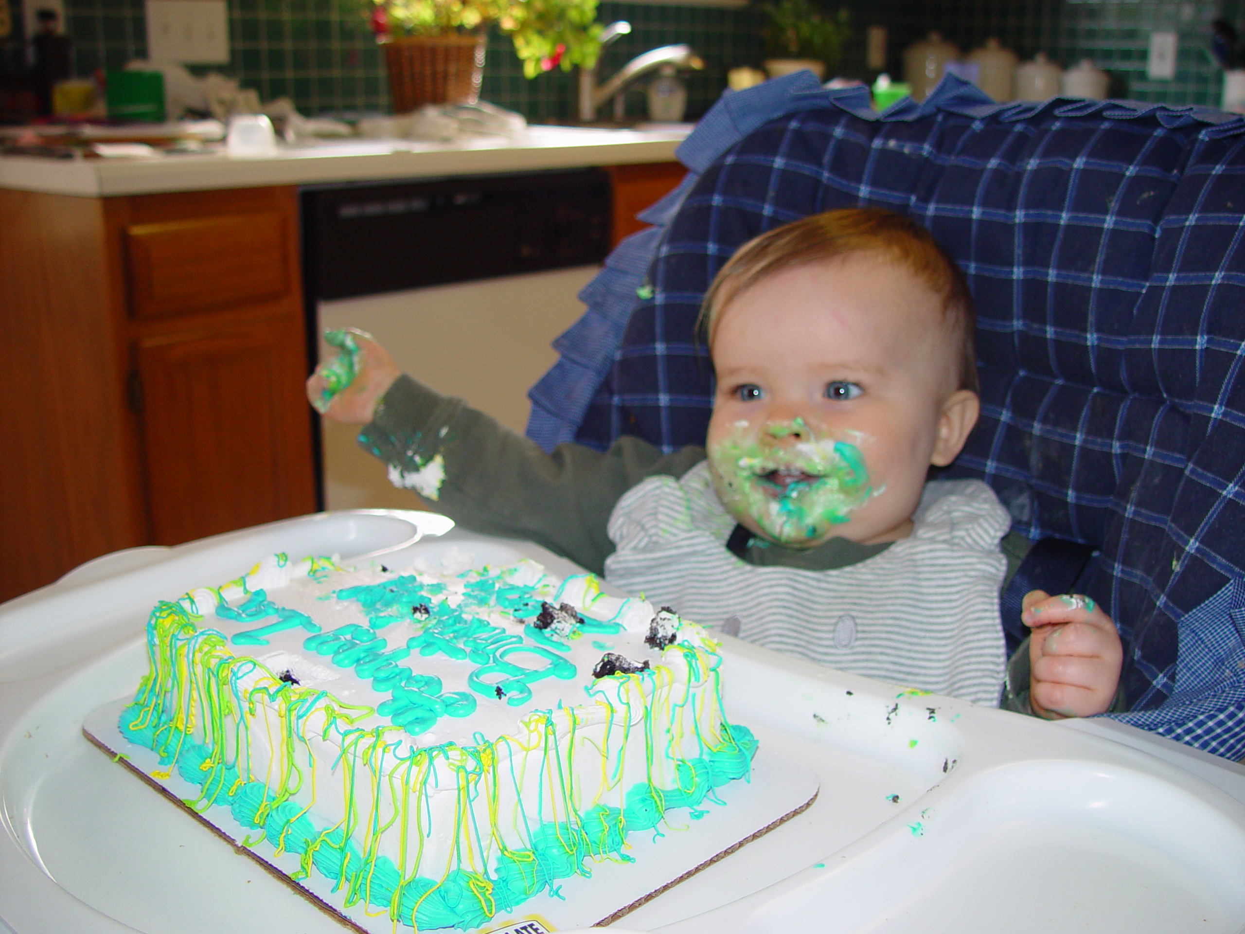 Zack's 1st Birthday