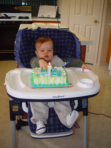 Zack's 1st Birthday