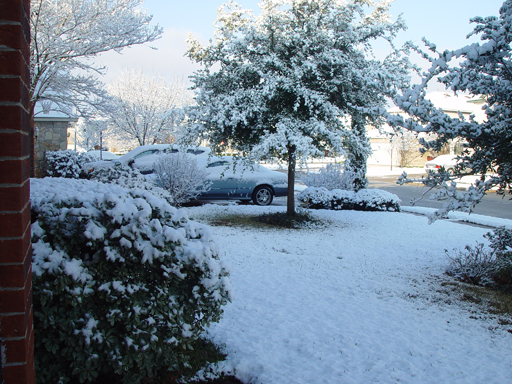 Snow In Austin, TX? (1st Time in 8-10 Years)