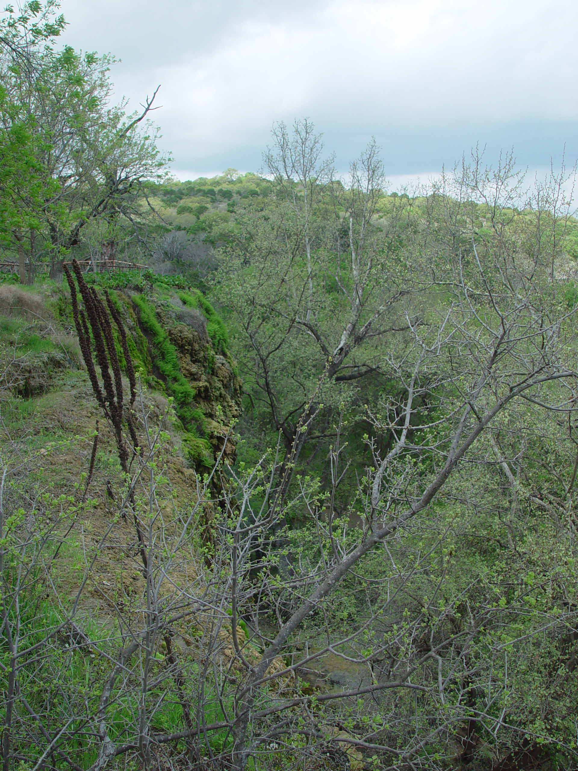 Varsity Scouts - Colorado Bend State Park