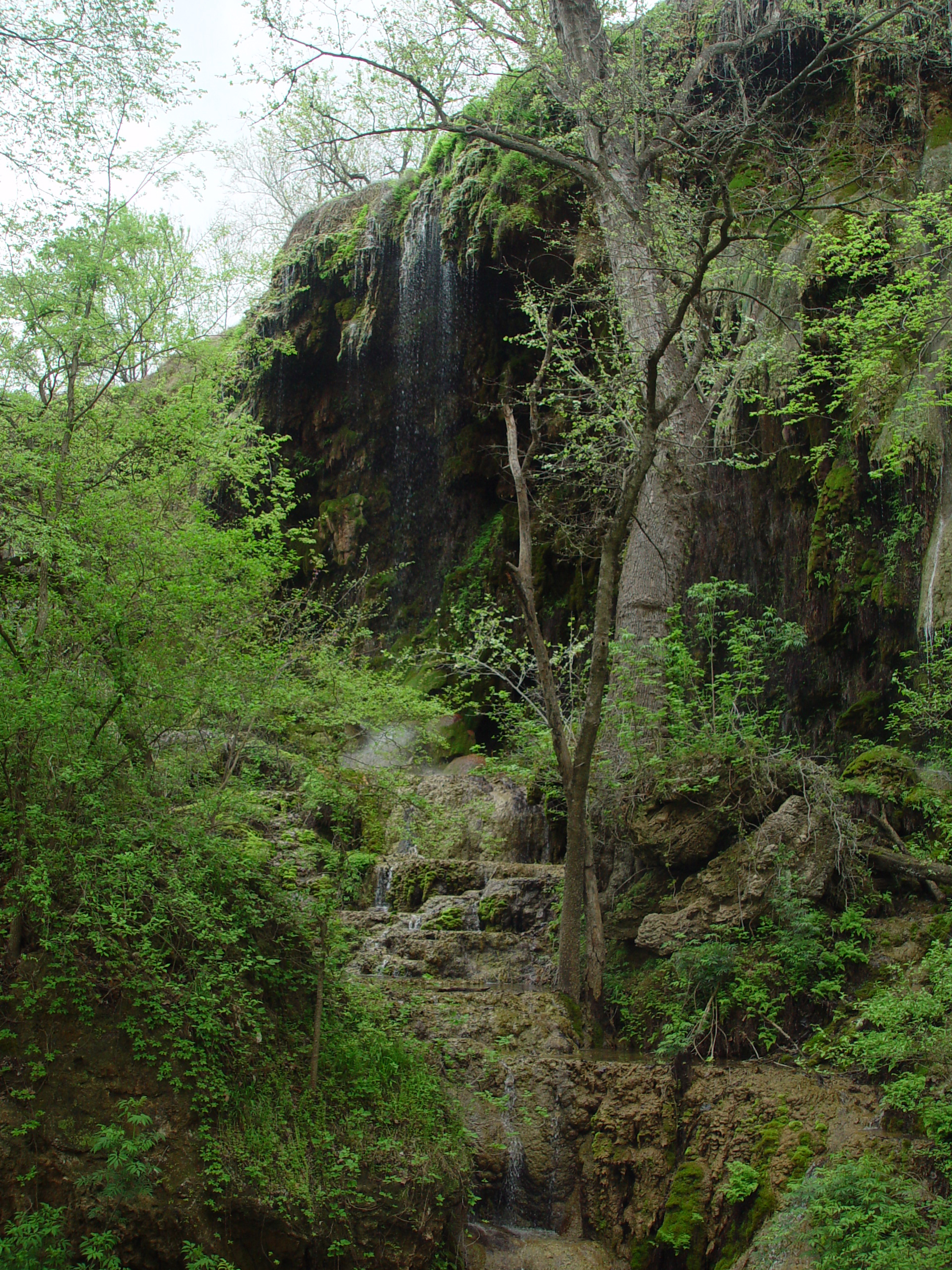 Varsity Scouts - Colorado Bend State Park