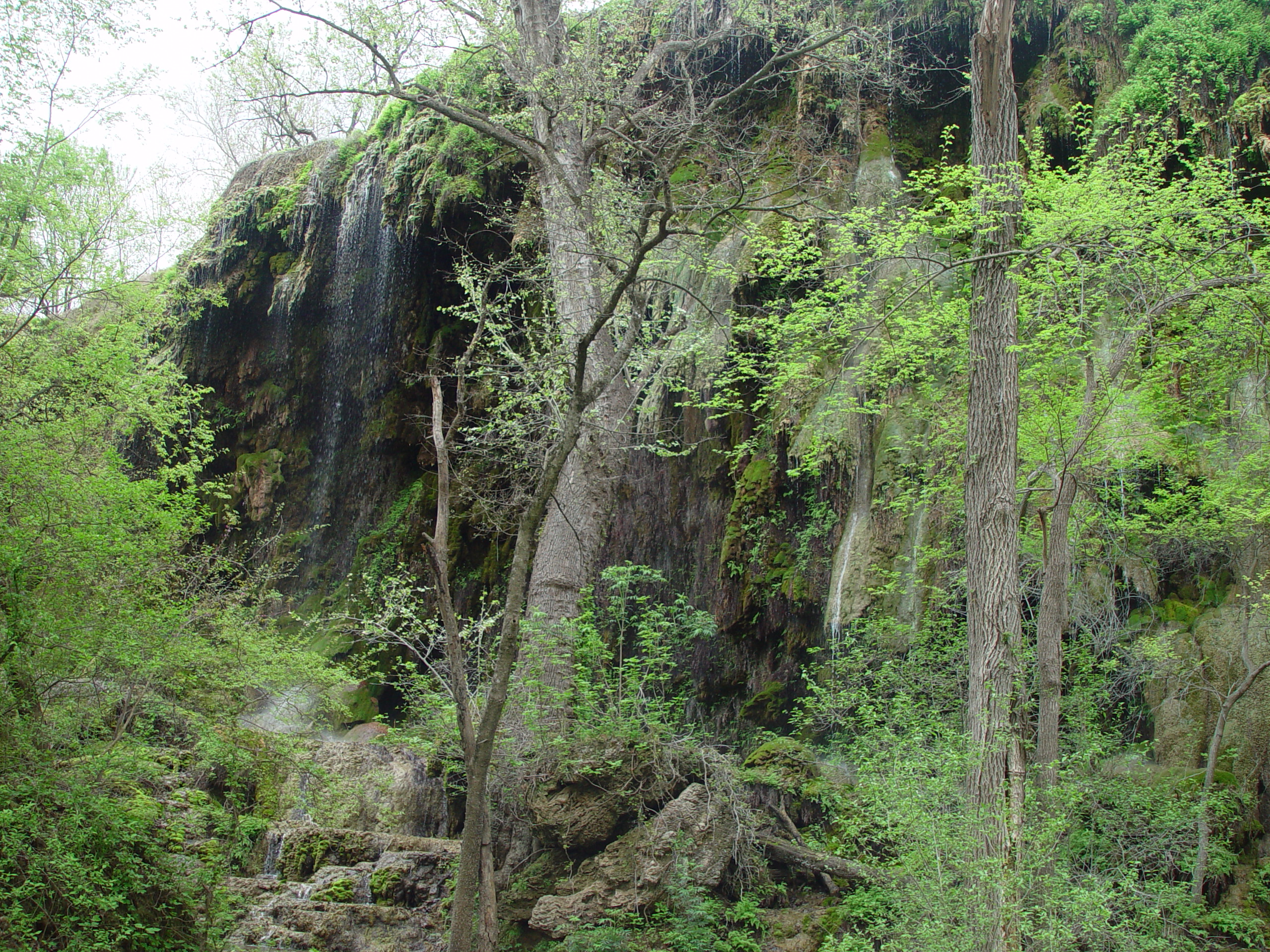 Varsity Scouts - Colorado Bend State Park