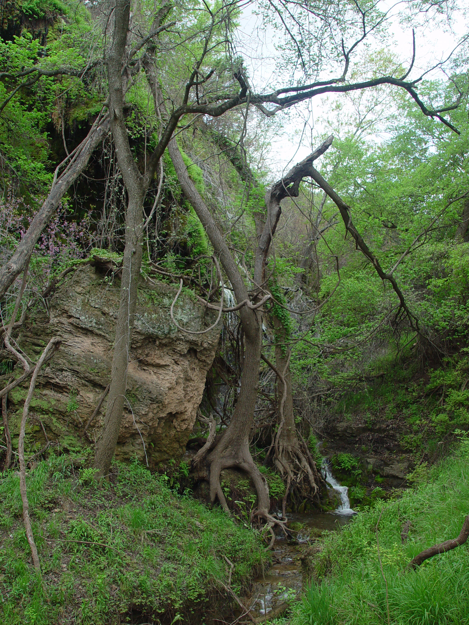 Varsity Scouts - Colorado Bend State Park