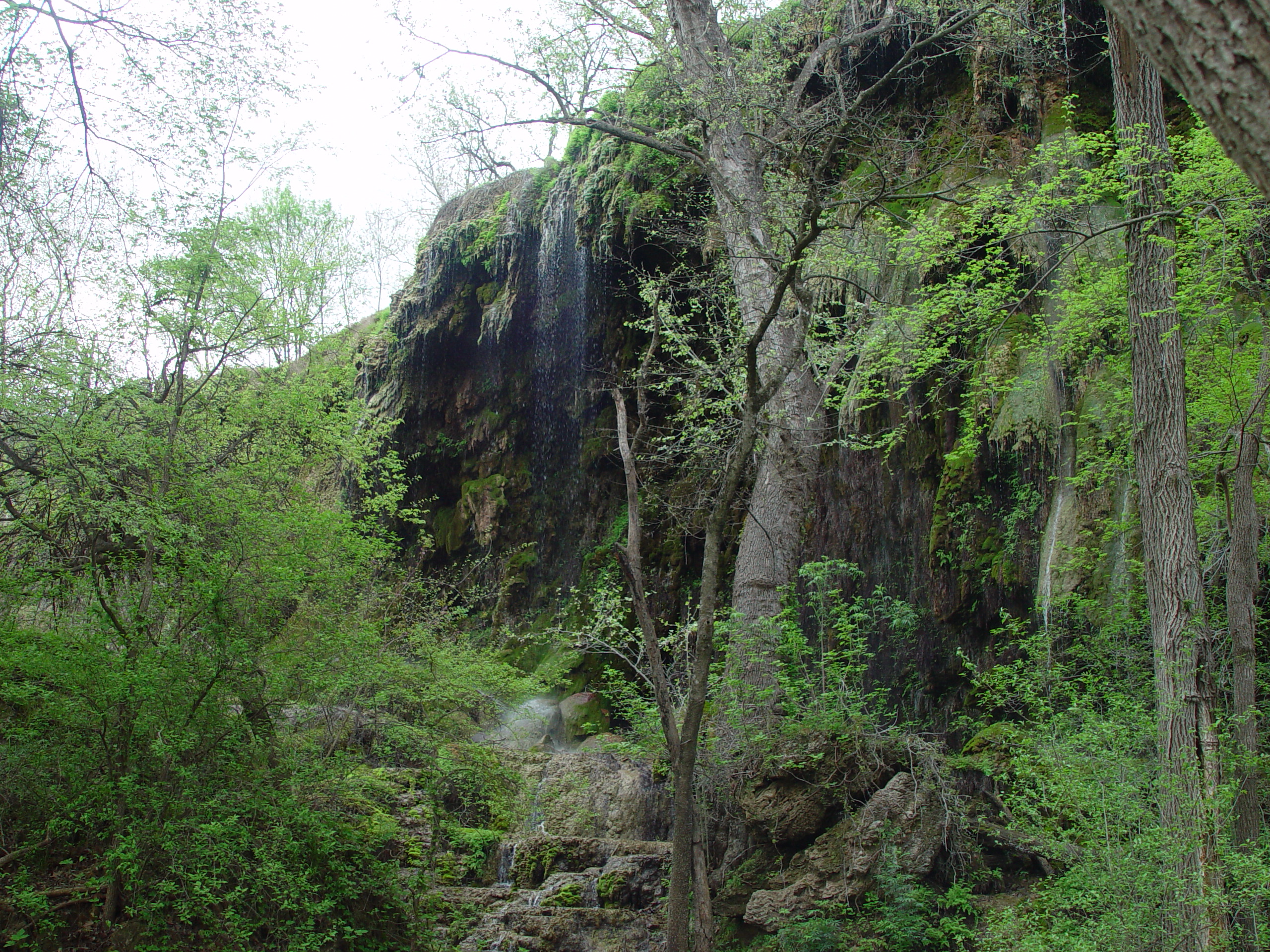 Varsity Scouts - Colorado Bend State Park