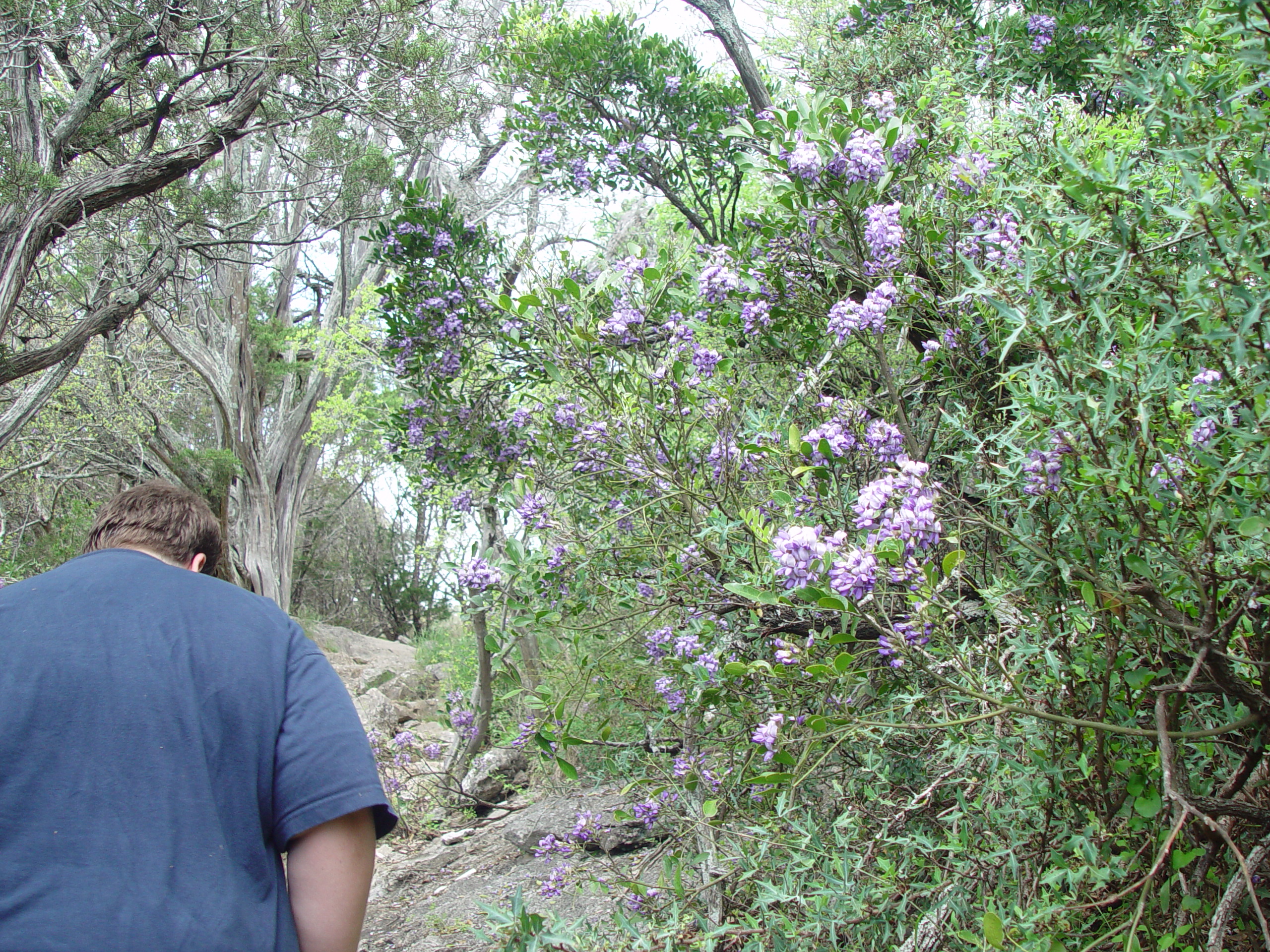 Varsity Scouts - Colorado Bend State Park