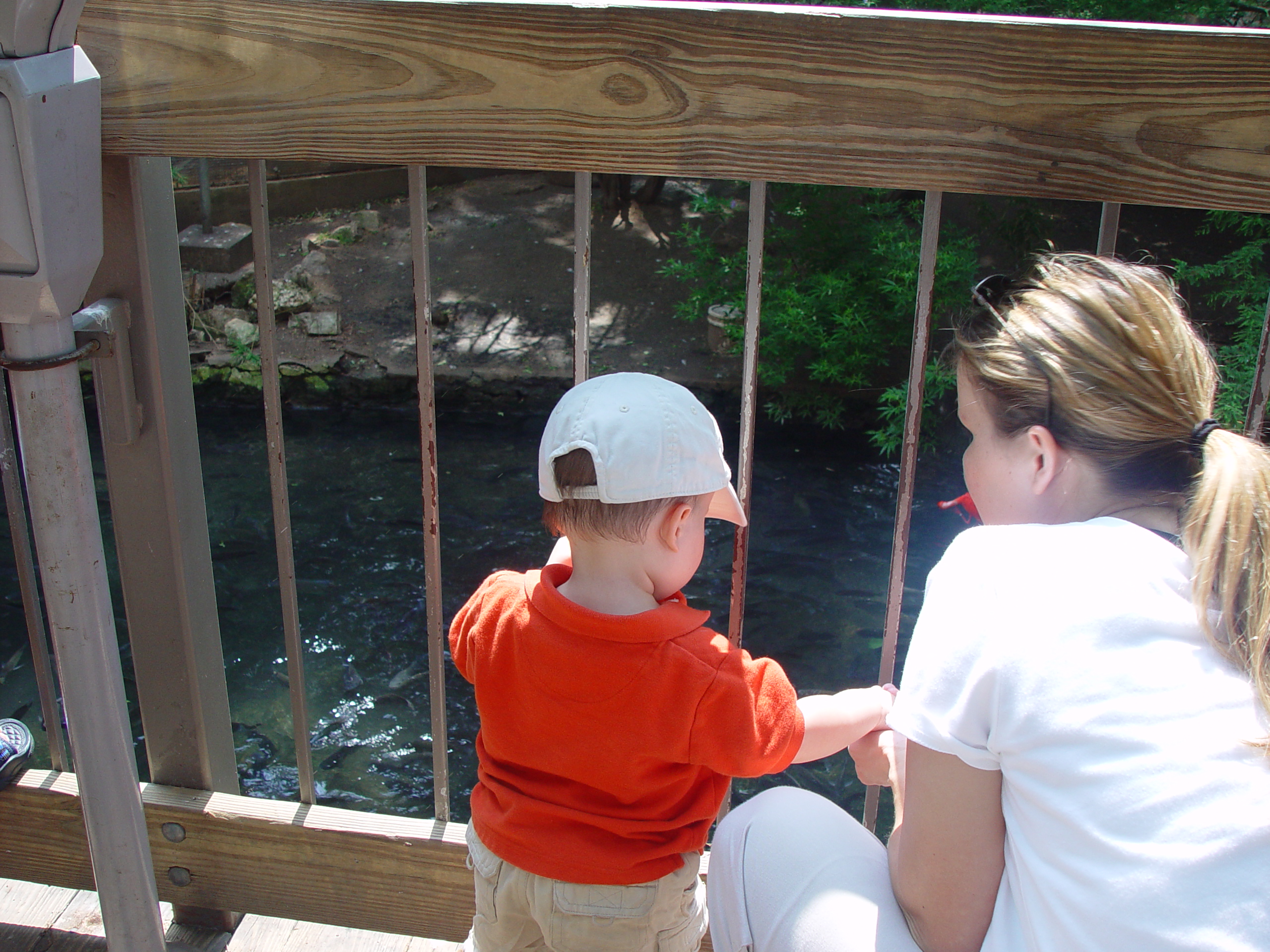 Zack's 1st trip to the Zoo (San Antonio Zoo)