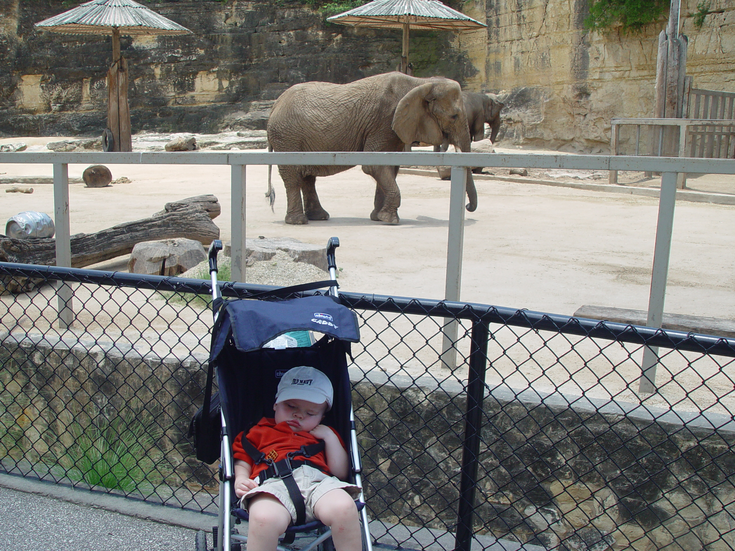 Zack's 1st trip to the Zoo (San Antonio Zoo)