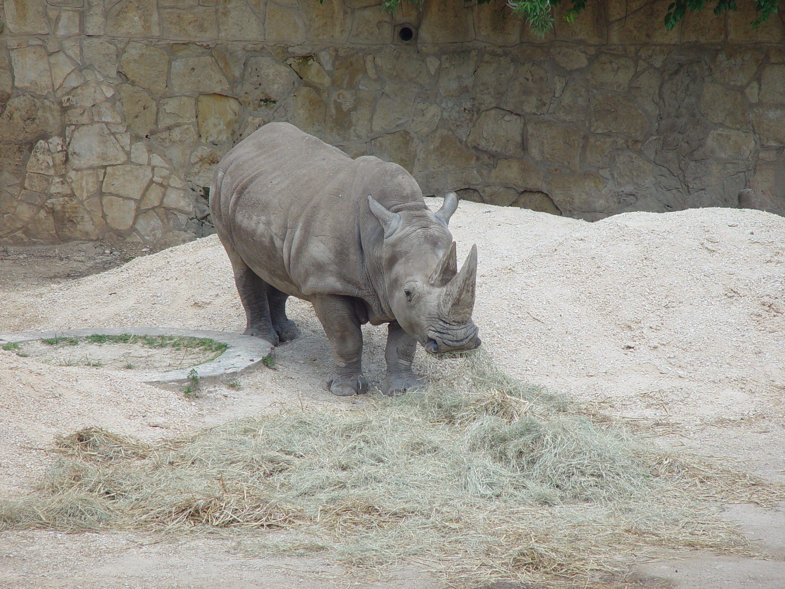 Zack's 1st trip to the Zoo (San Antonio Zoo)