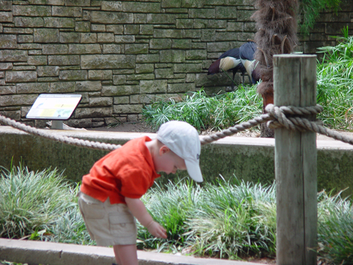 Zack's 1st trip to the Zoo (San Antonio Zoo)