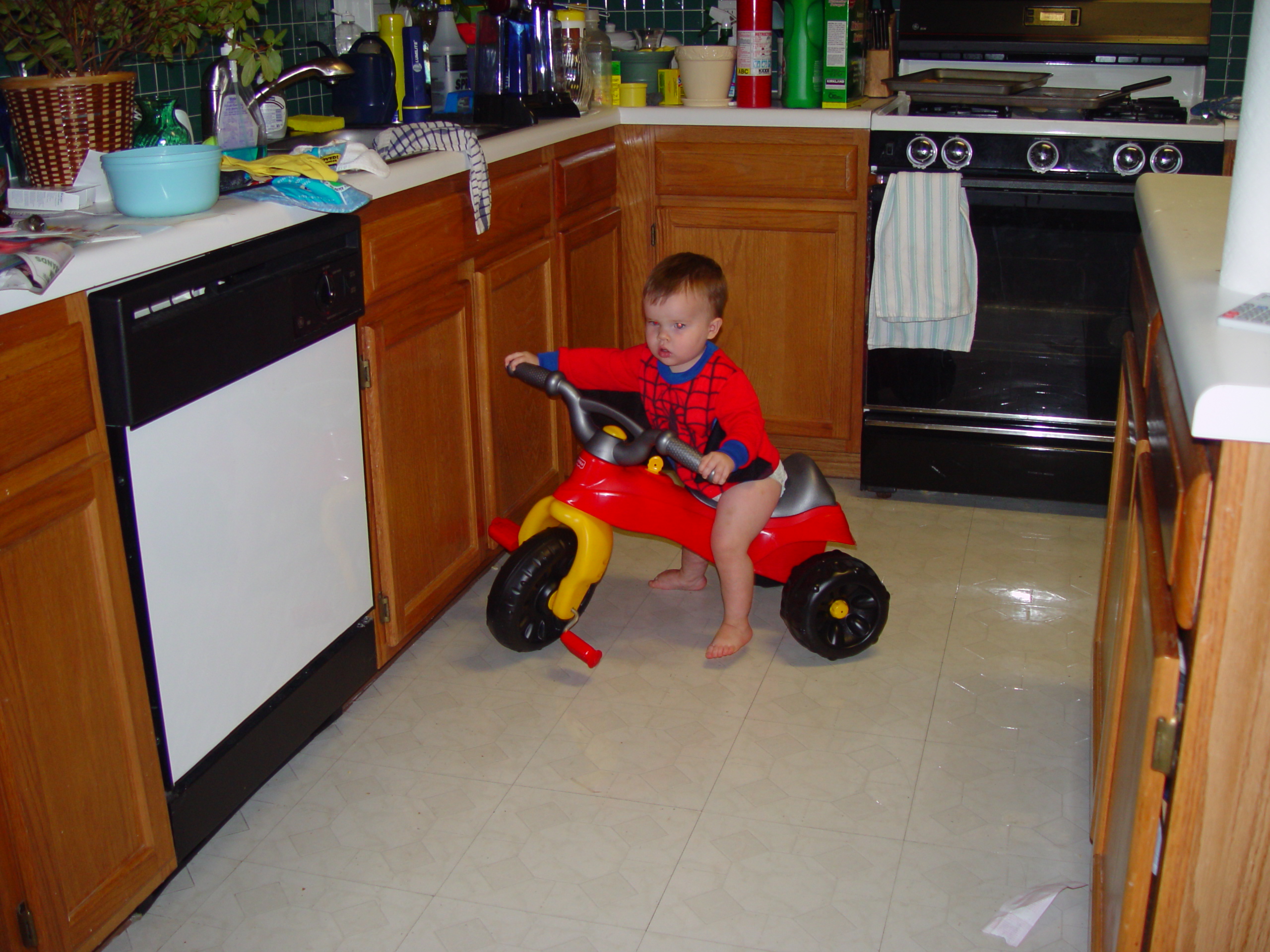 Lord of the Rings 3 Party, Ned & Stan, Zack's 1st Bike