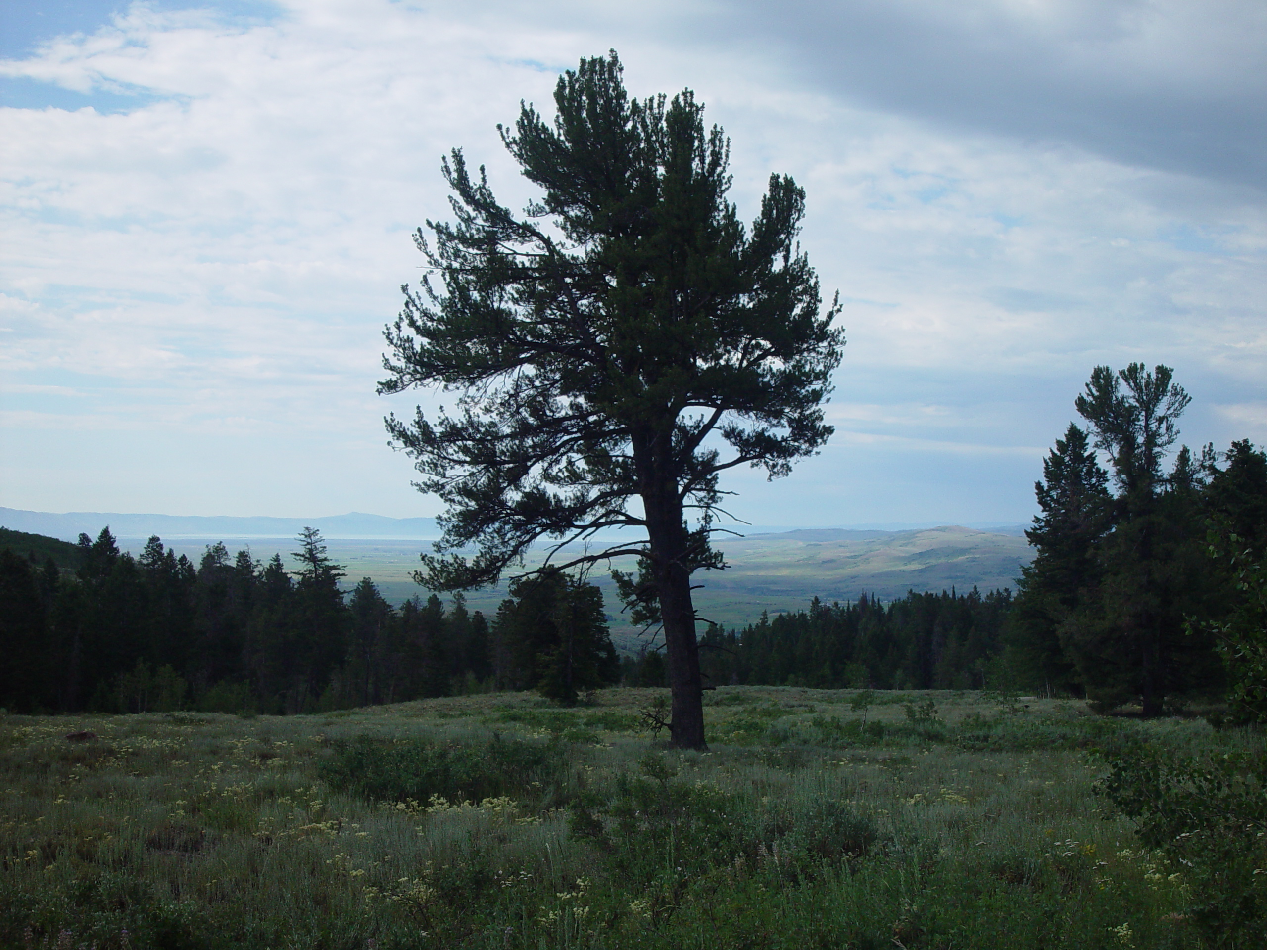 Chris & Ben go to Scout Camp (Camp Bartlett, Idaho)
