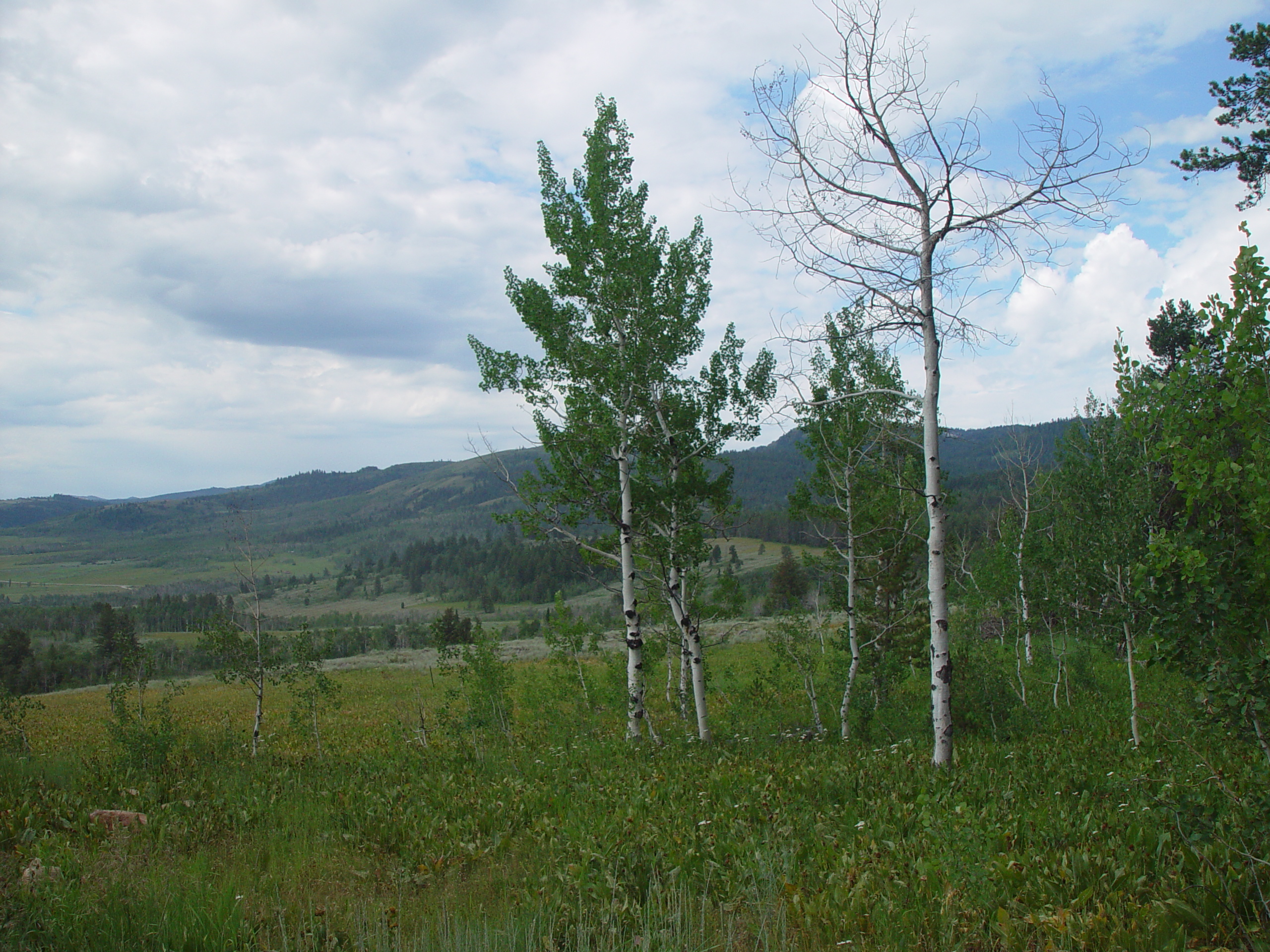 Chris & Ben go to Scout Camp (Camp Bartlett, Idaho)