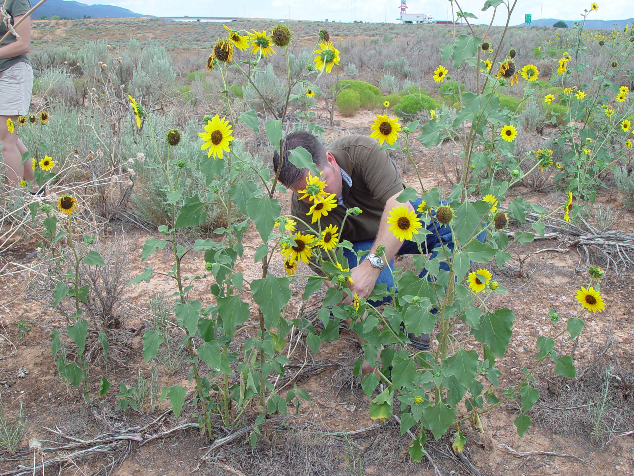 Mitchell Reunion, Tucuban (Southern Utah)