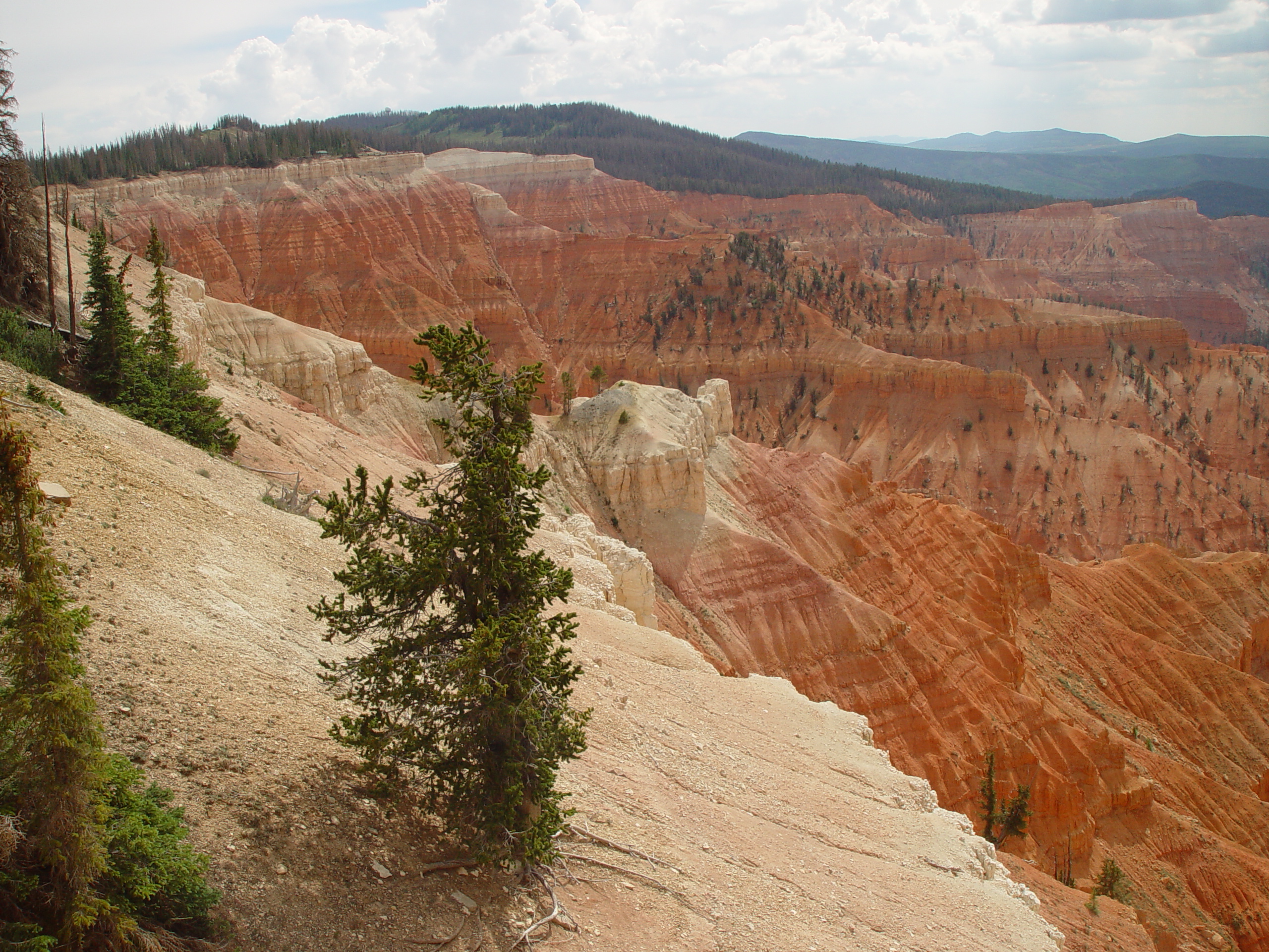 Mitchell Reunion, Tucuban (Southern Utah)