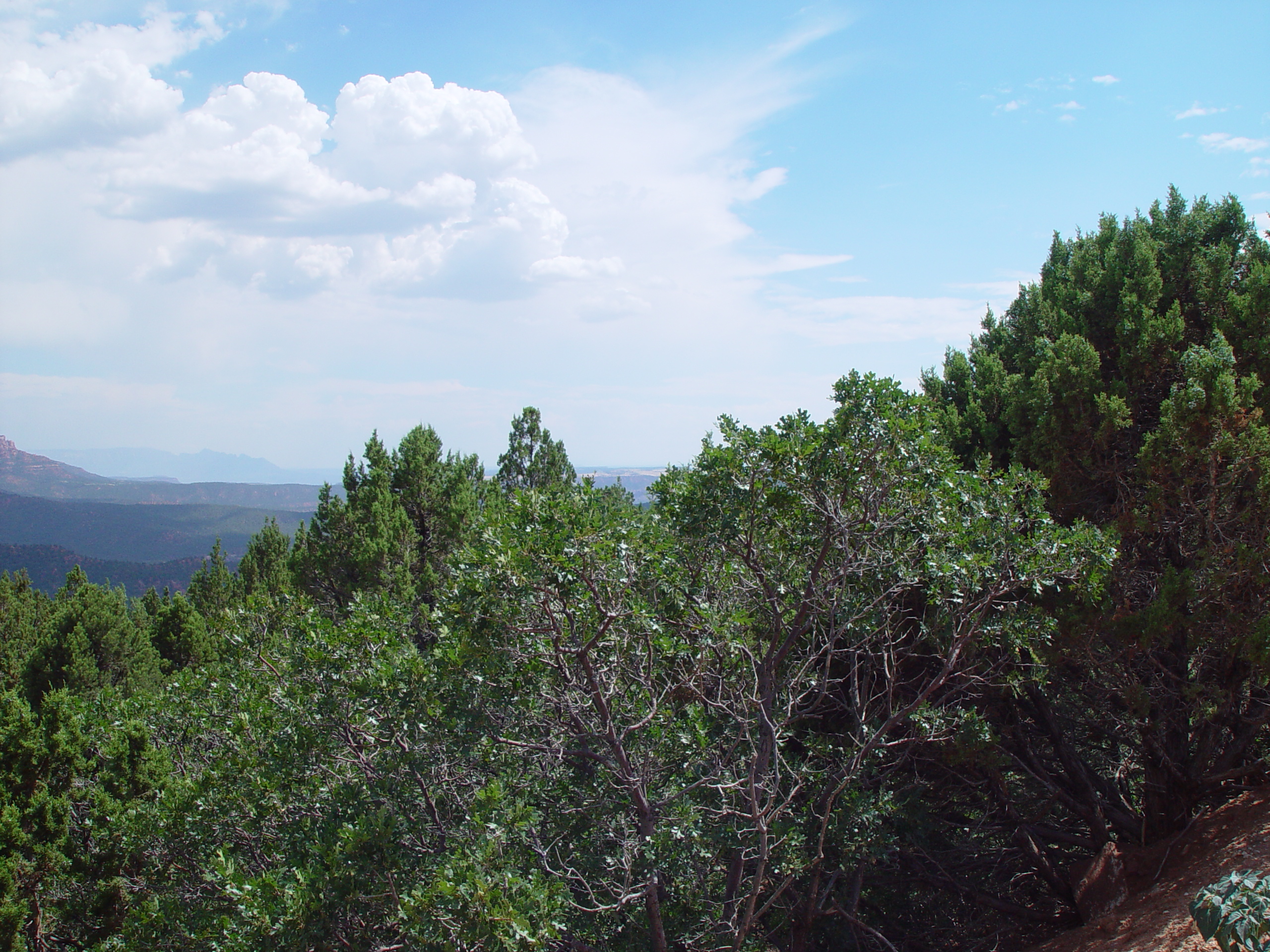 Fort Harmony, Kolob Canyon, Grandpa Palmer's Cabin (Southern Utah)