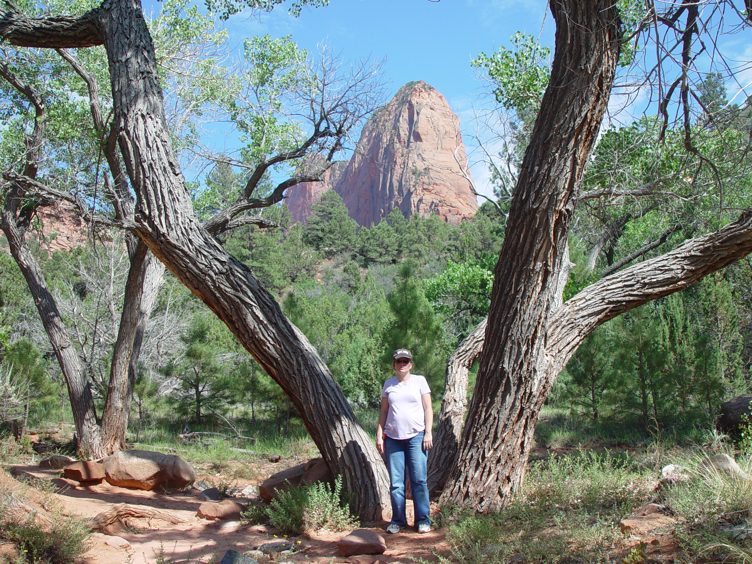 Fort Harmony, Kolob Canyon, Grandpa Palmer's Cabin (Southern Utah)