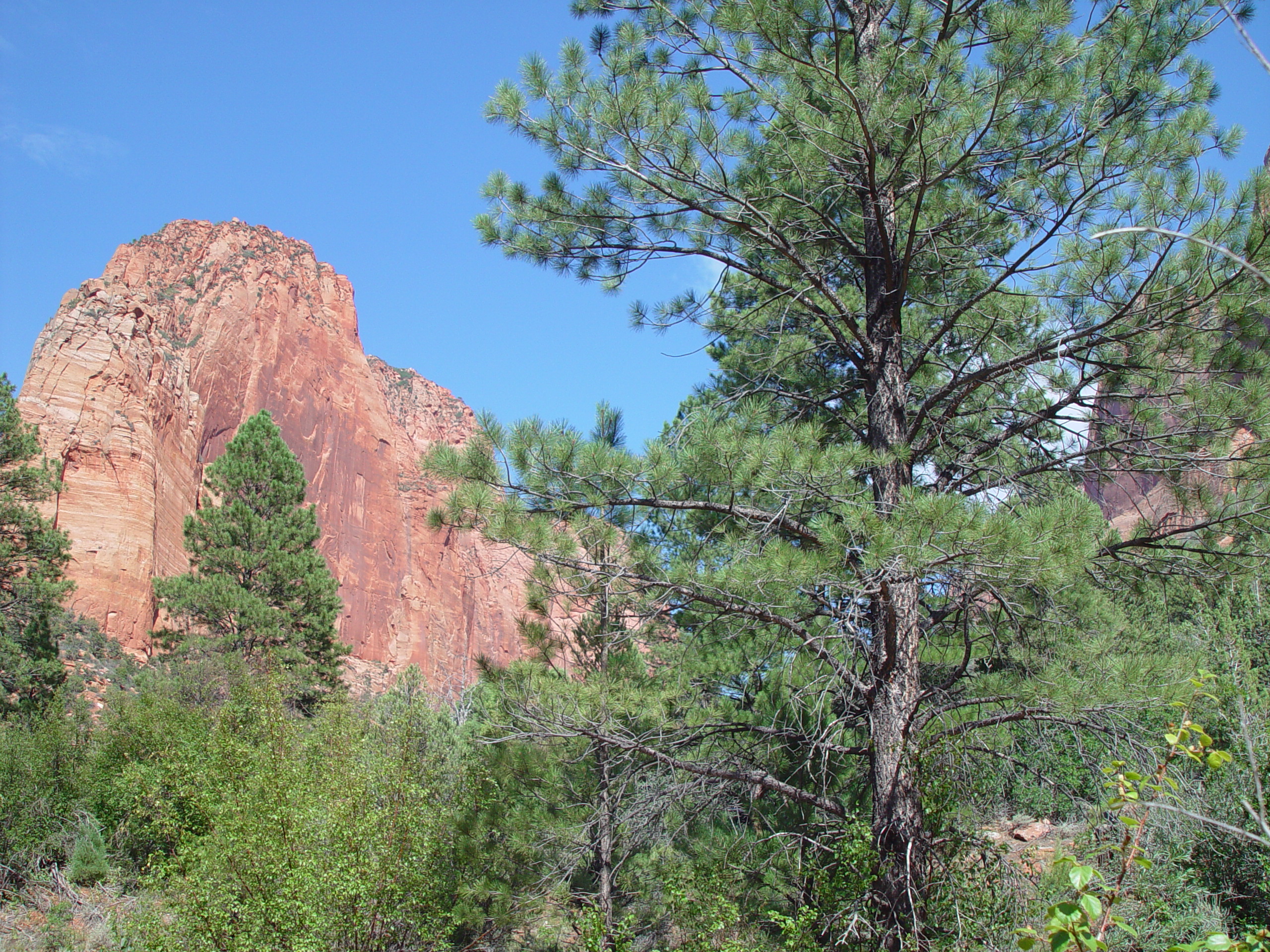 Fort Harmony, Kolob Canyon, Grandpa Palmer's Cabin (Southern Utah)