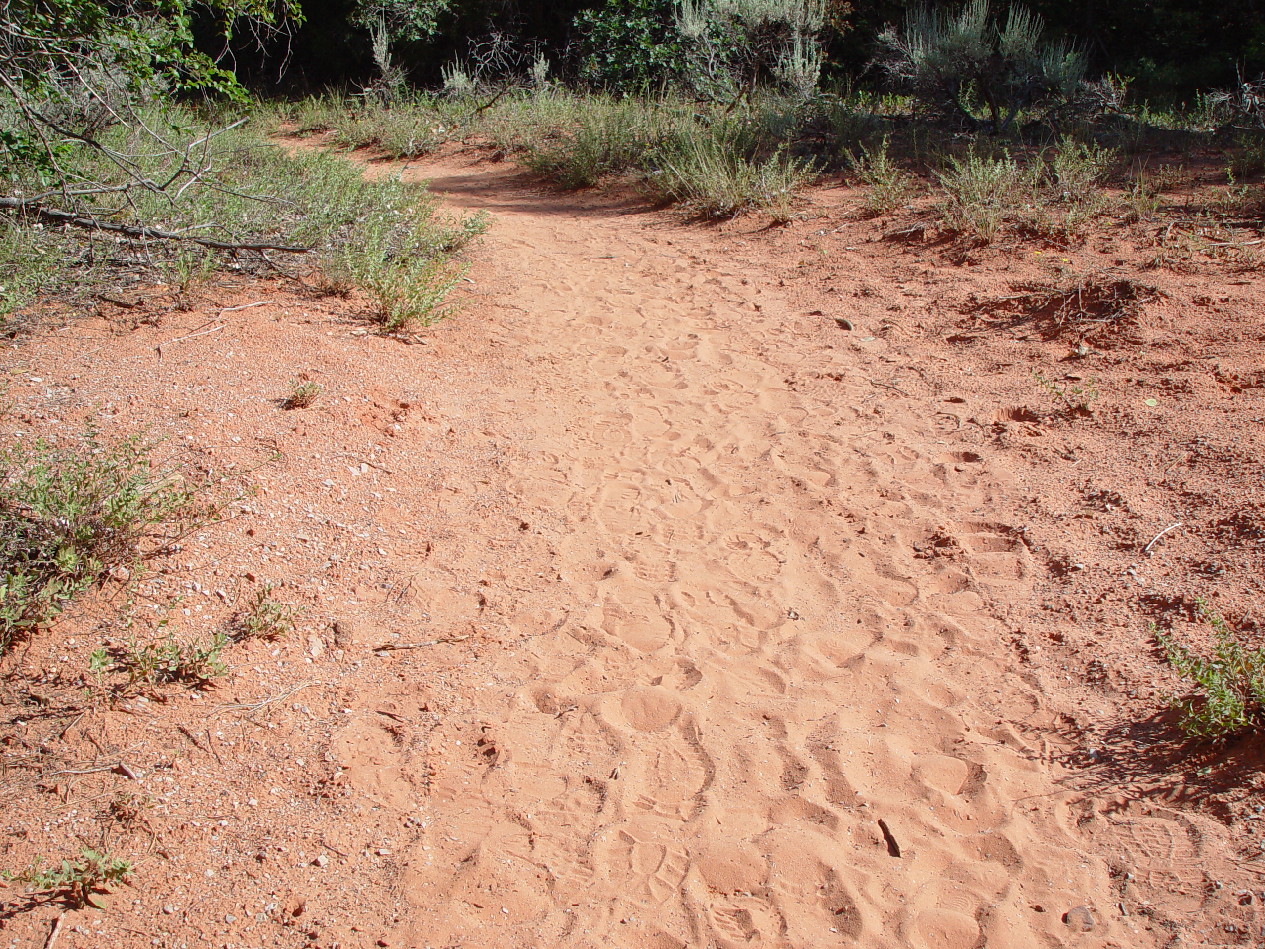 Fort Harmony, Kolob Canyon, Grandpa Palmer's Cabin (Southern Utah)