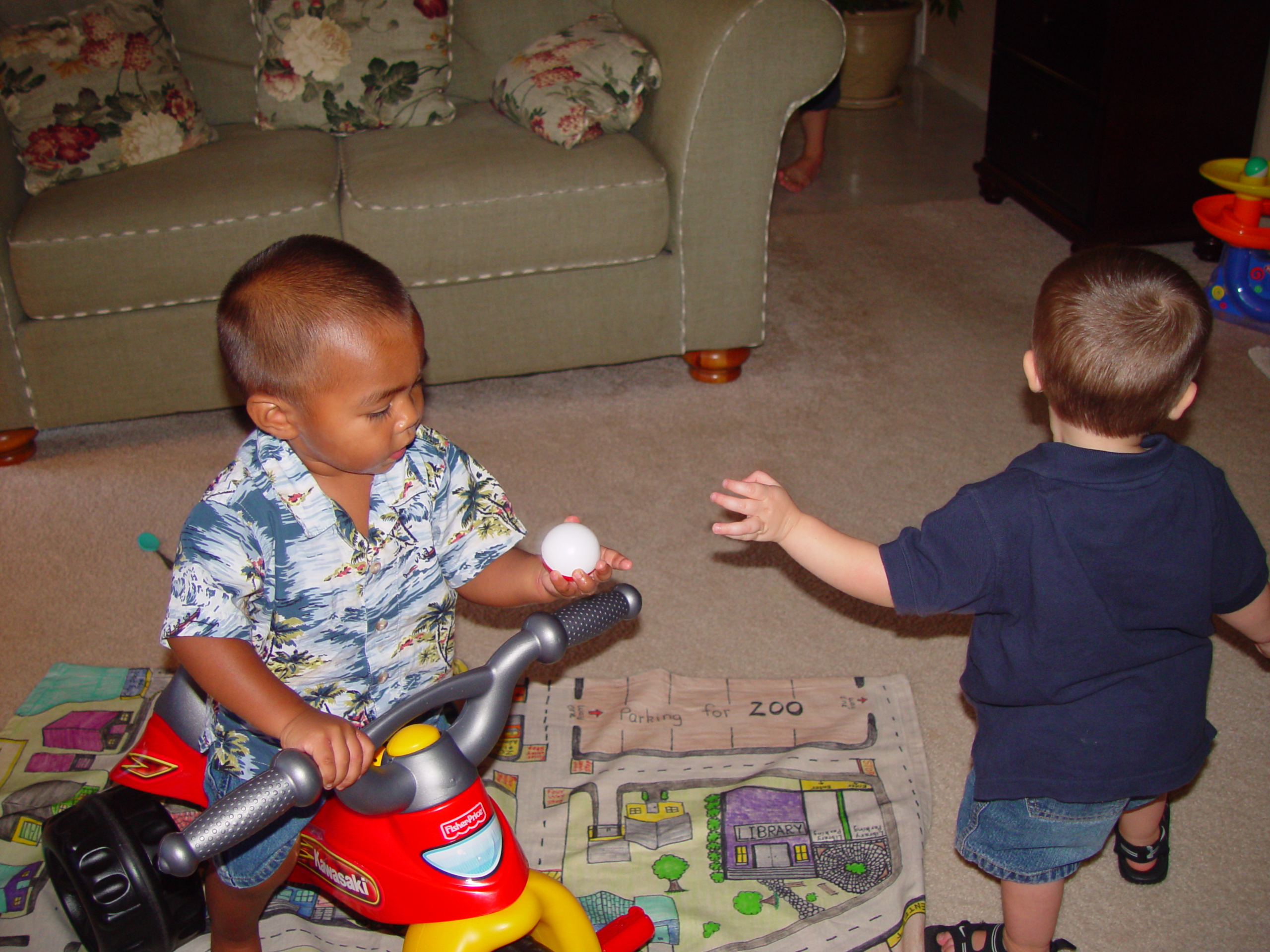 Playing With Our Pet Toad