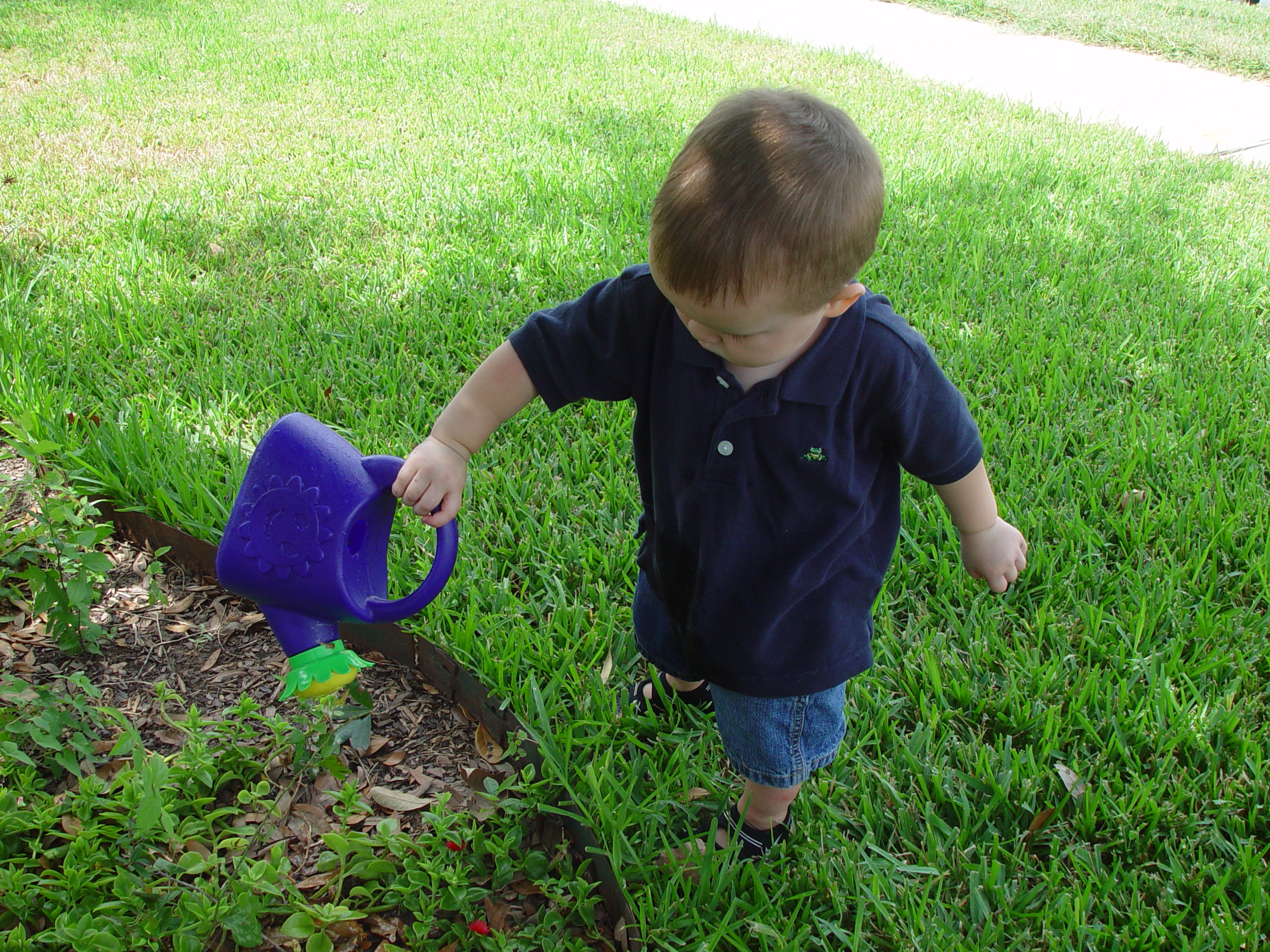 Playing With Our Pet Toad