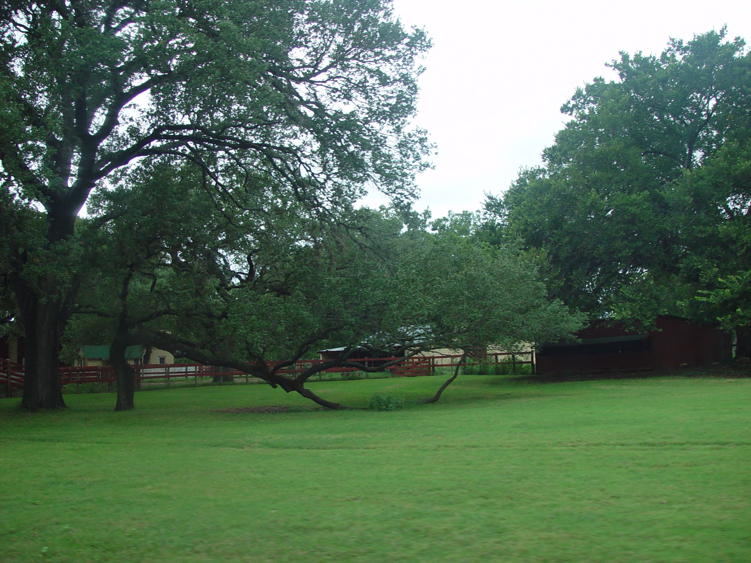 L.B.J. Boyhood Home & Ranch (Johnson City, Texas), The Salt Lick (Driftwood, Texas)