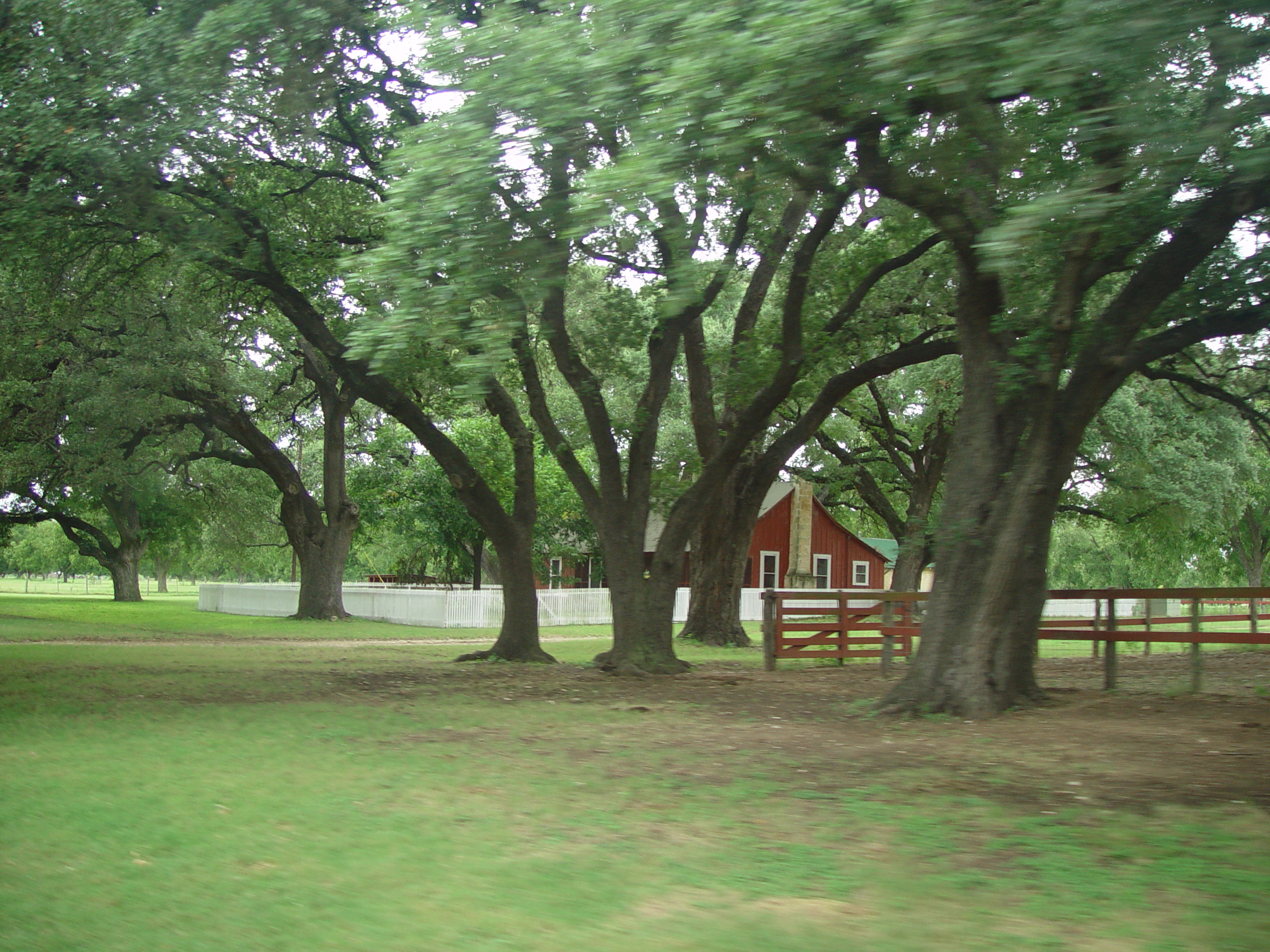 L.B.J. Boyhood Home & Ranch (Johnson City, Texas), The Salt Lick (Driftwood, Texas)