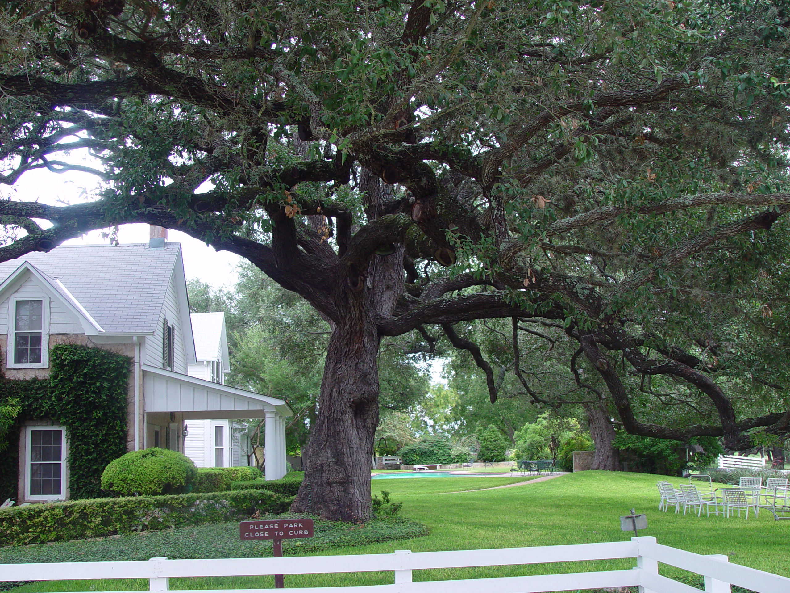 L.B.J. Boyhood Home & Ranch (Johnson City, Texas), The Salt Lick (Driftwood, Texas)