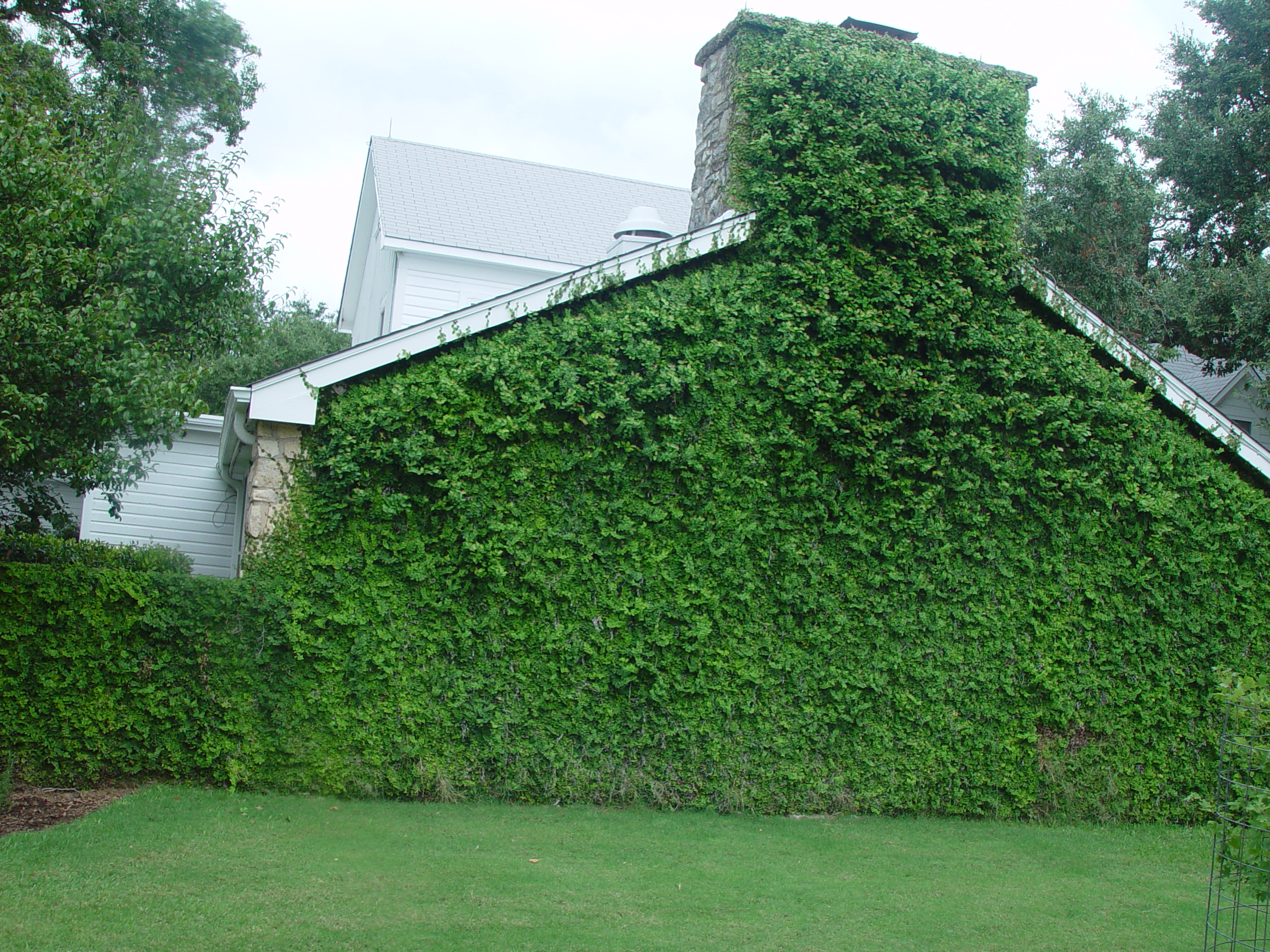 L.B.J. Boyhood Home & Ranch (Johnson City, Texas), The Salt Lick (Driftwood, Texas)