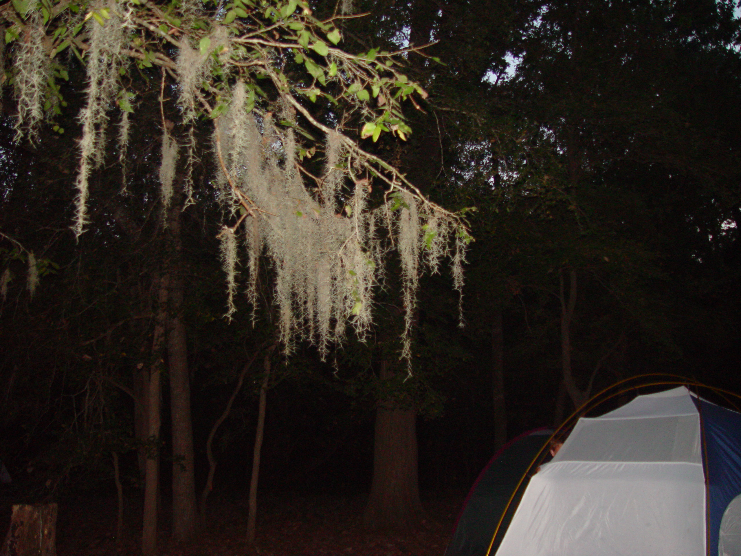 Varsity Scouts - Buescher State Park