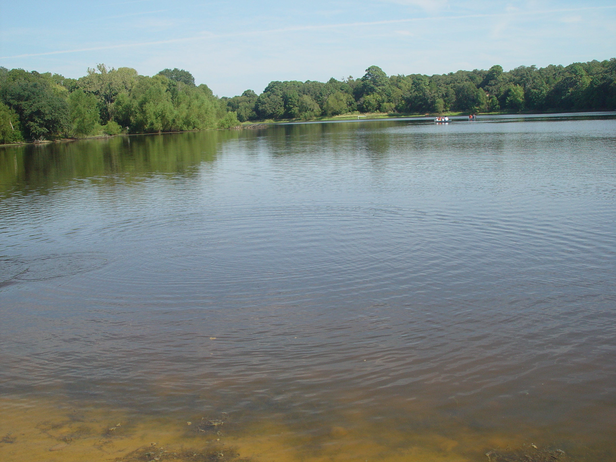 Varsity Scouts - Buescher State Park