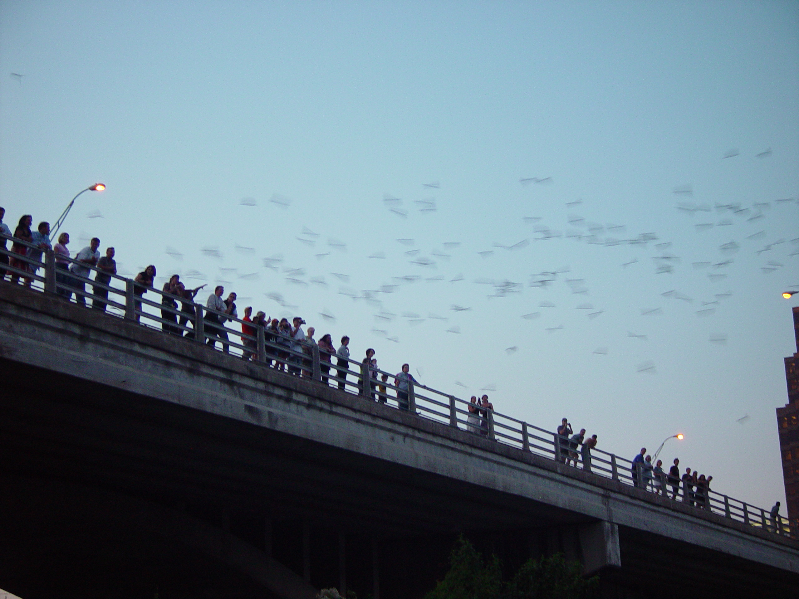 Sarah, Jason, and Hallie Dunn Come To Visit, The Austin Bats